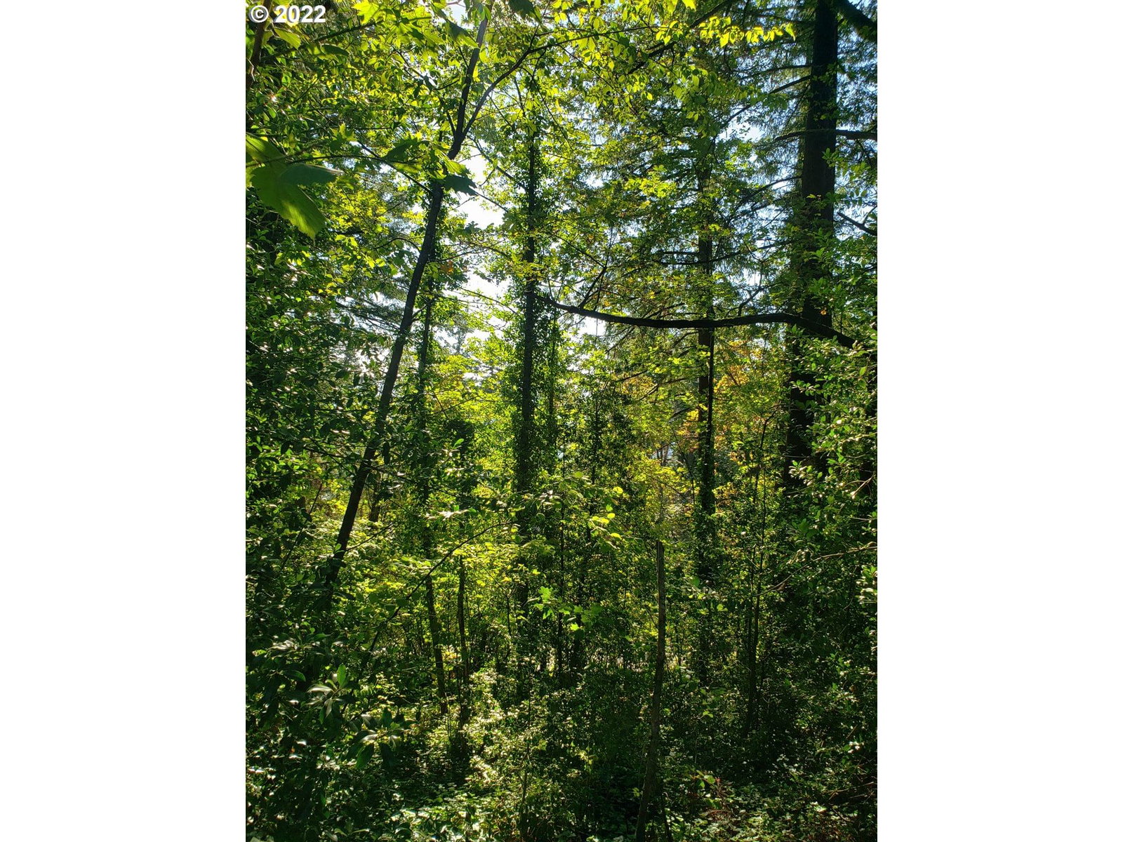 Listing photo 1 of 1