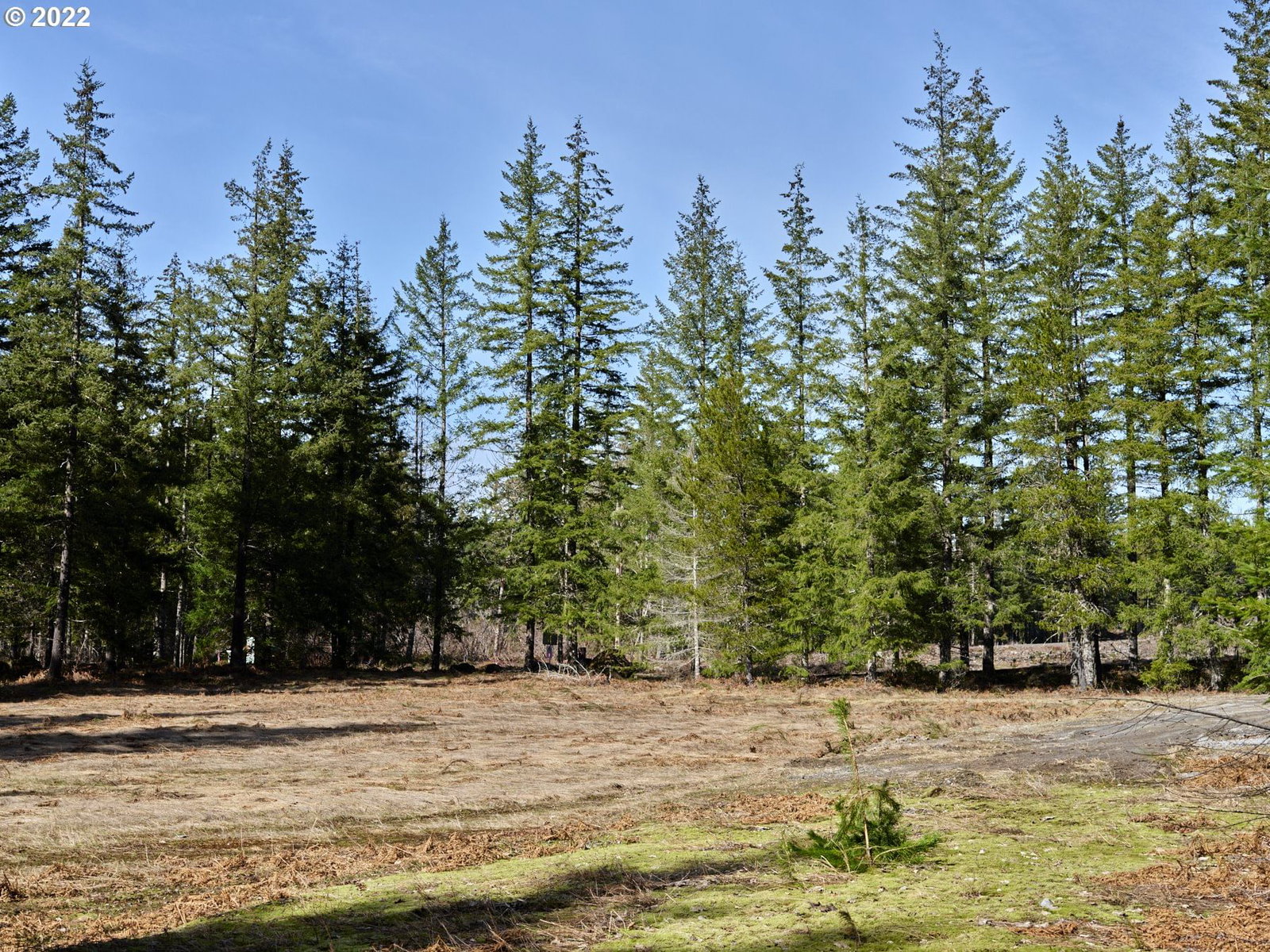 Listing photo 1 of 1