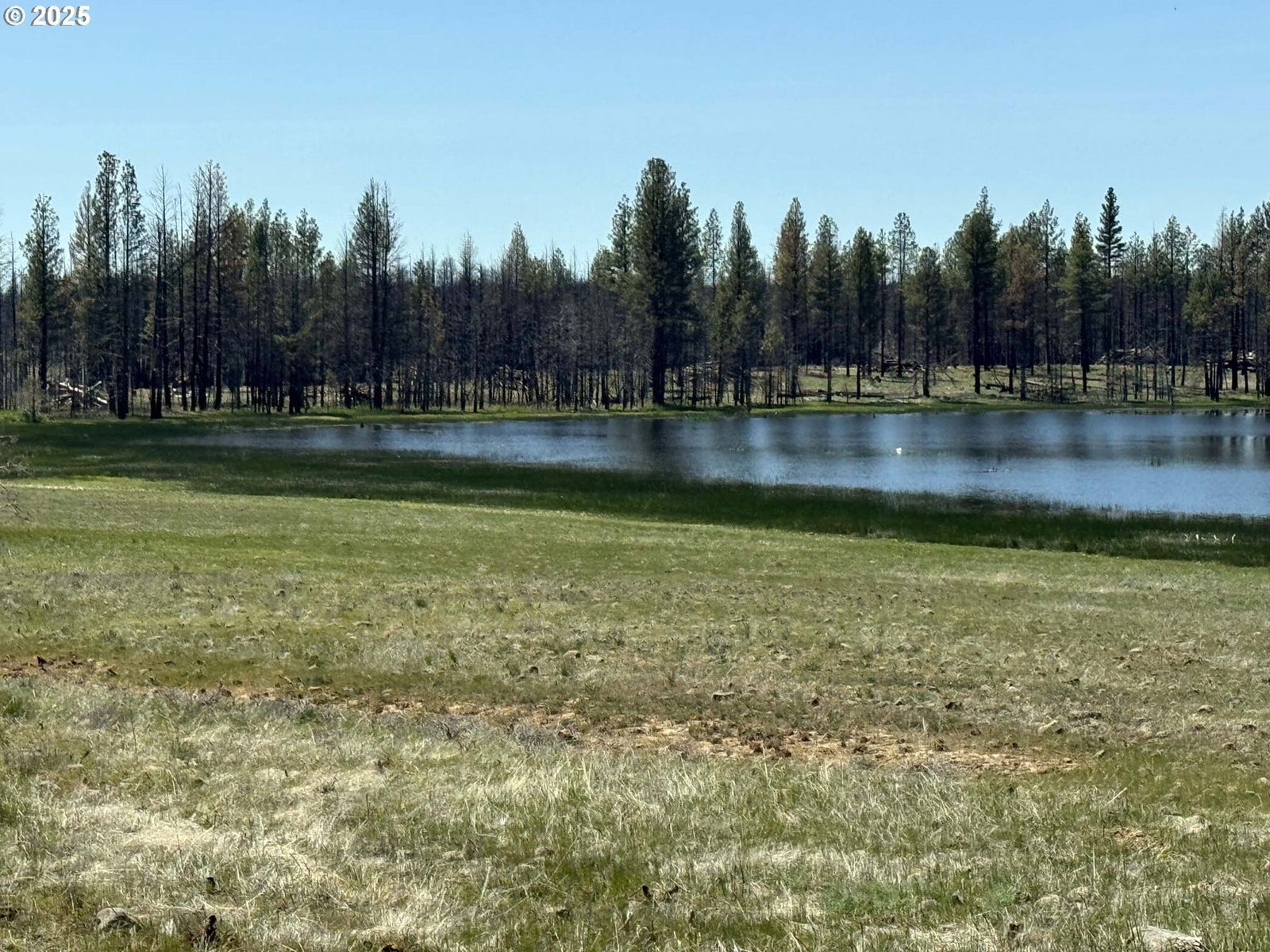 Primary listing photo, Off-Hicks Road #Lot 3, Bly, OR, 97622