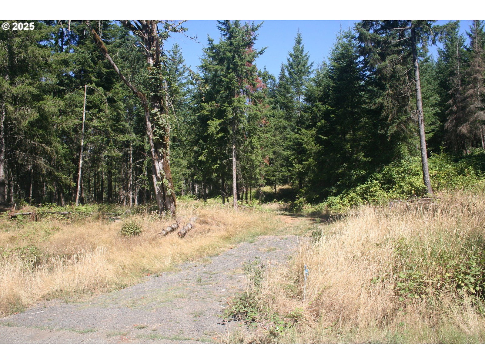 Primary listing photo, 3647 Briar Knob LOOP, Scotts Mills, OR, 97375