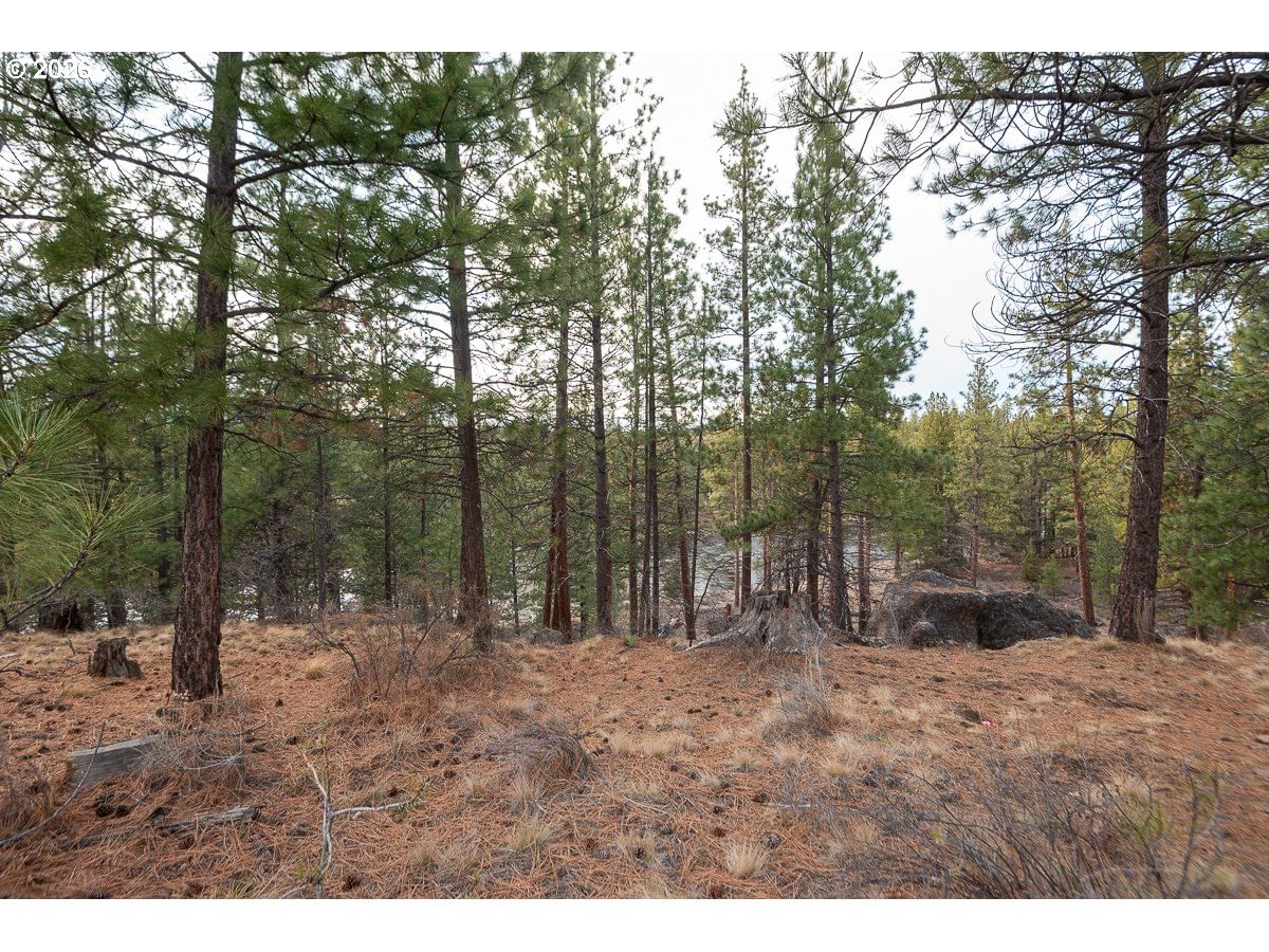 Primary listing photo, 60793 RIVER BEND DR, Bend, OR, 97702