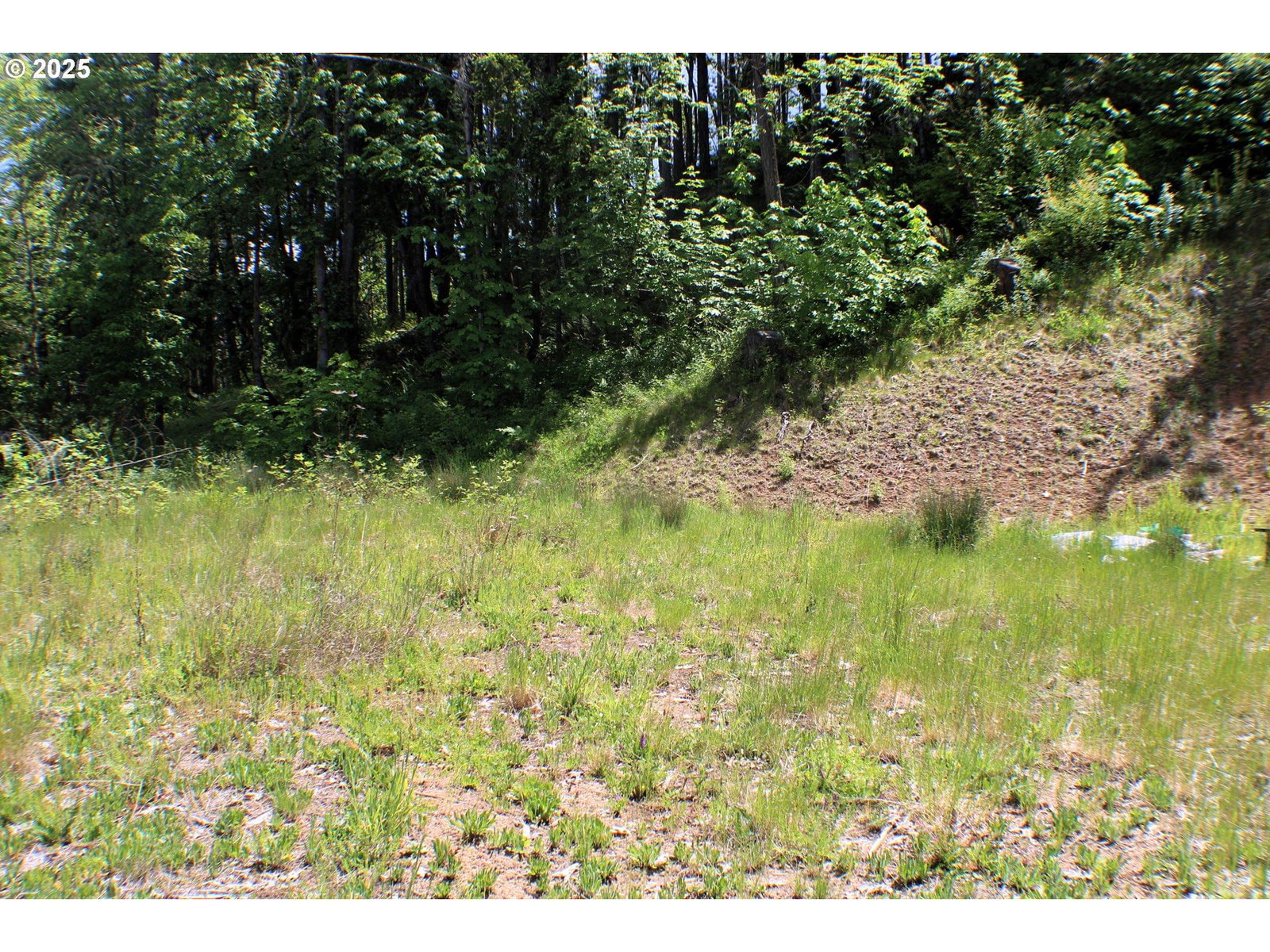 Primary listing photo, 1482 CANYONVILLE RIDDLE RD, Riddle, OR, 97469