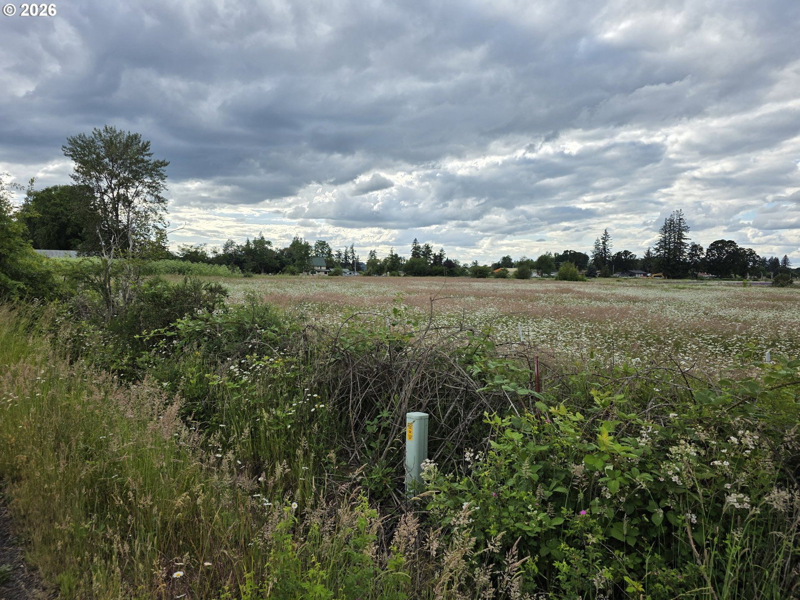 Listing photo 1 of 4