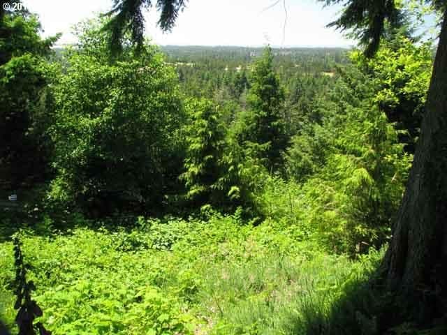 Primary listing photo, OCEAN VIEW DR, Florence, OR, 97439