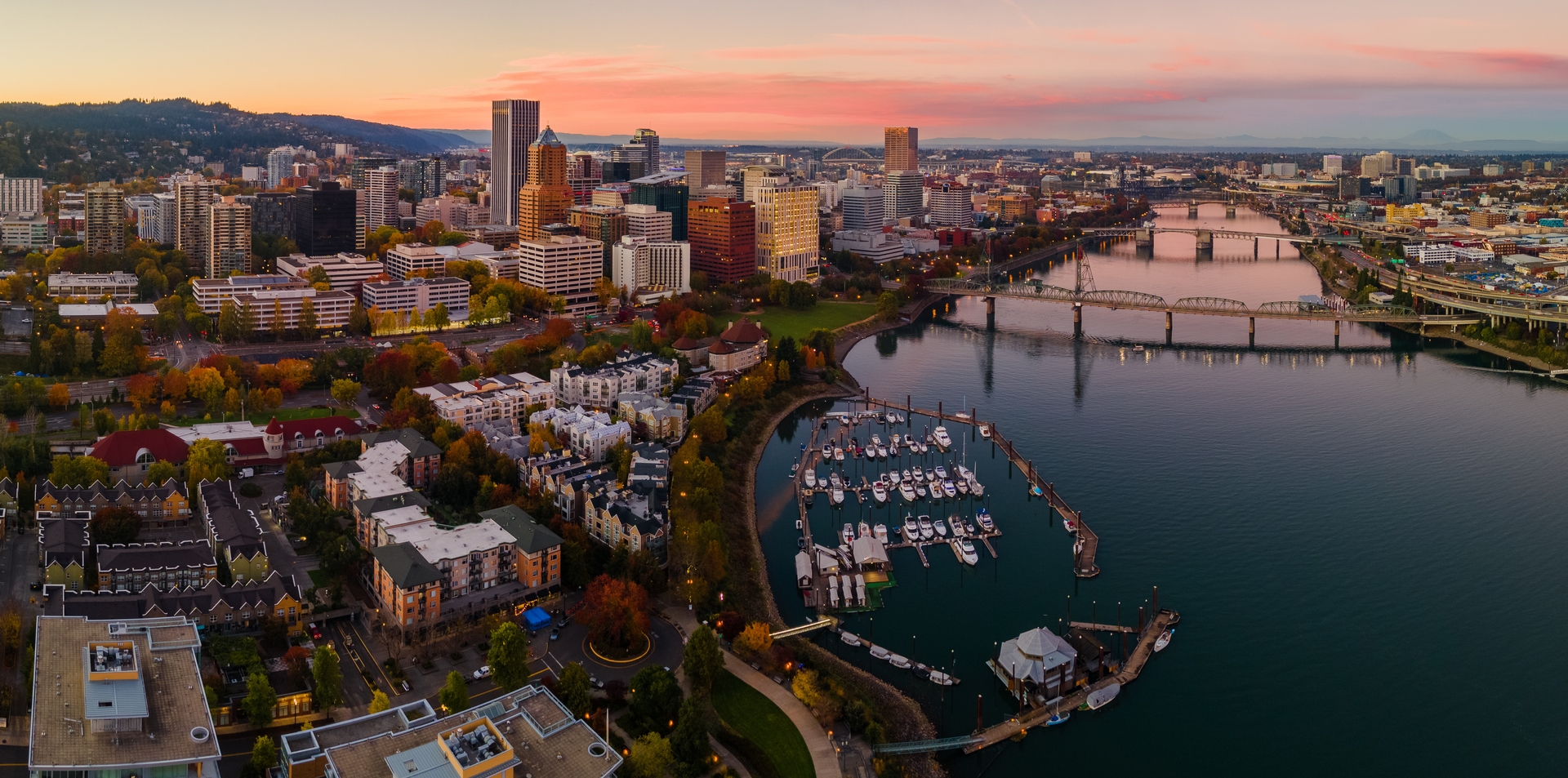 Portland skyline and market research